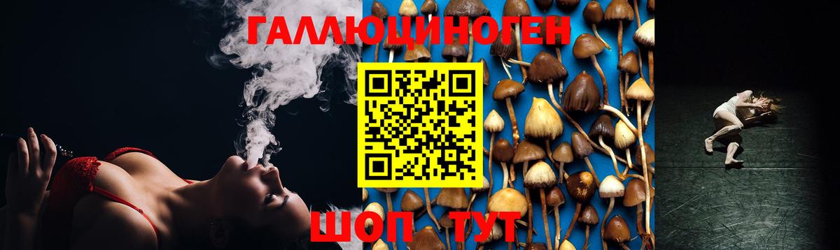 Псилоцибиновые грибы прущие грибы  Вход с VPN  Галлюциногенные грибы мицелий  Магадан 
